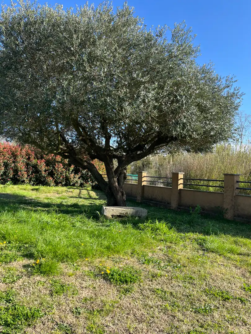 Casa con giardino in vendita a Sant Gregori, imagen 22