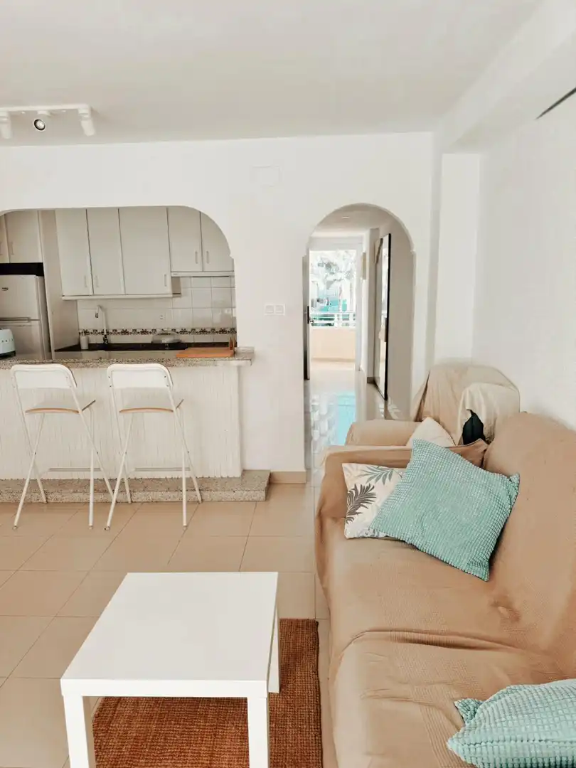 Sala de estar de Piso de alquiler en Alicante / Alacant con Terraza y Amueblado