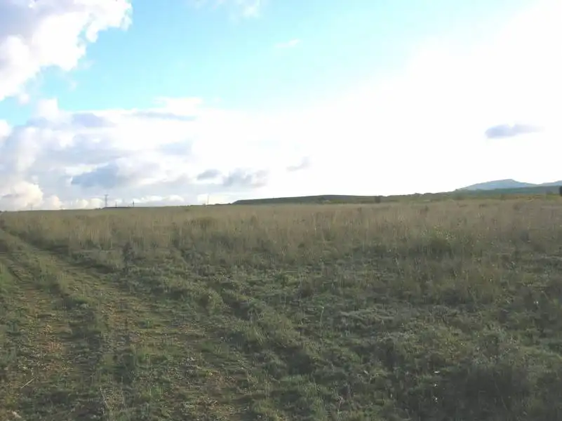 Residential land for sale in Yecla