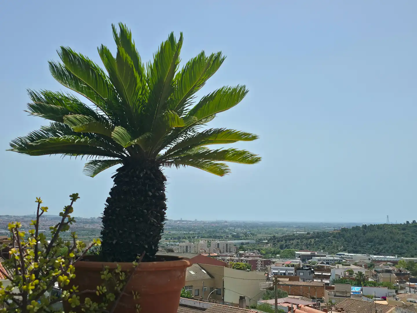 Vista exterior de Casa o chalet en venta en Sant Vicenç Dels Horts con Aire acondicionado, Calefacción y Jardín privado