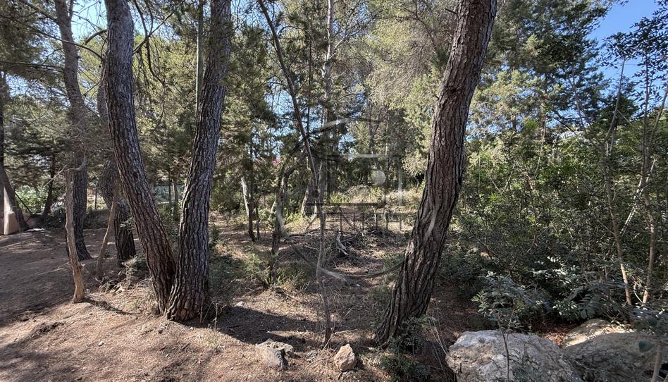 Photo 1 of Residential for sale in Sant Carles, Illes Balears