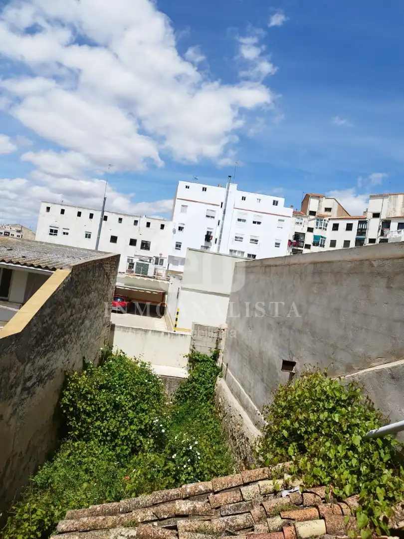 Casa con terrazza in vendita a Calle de García Montes, imagen 11