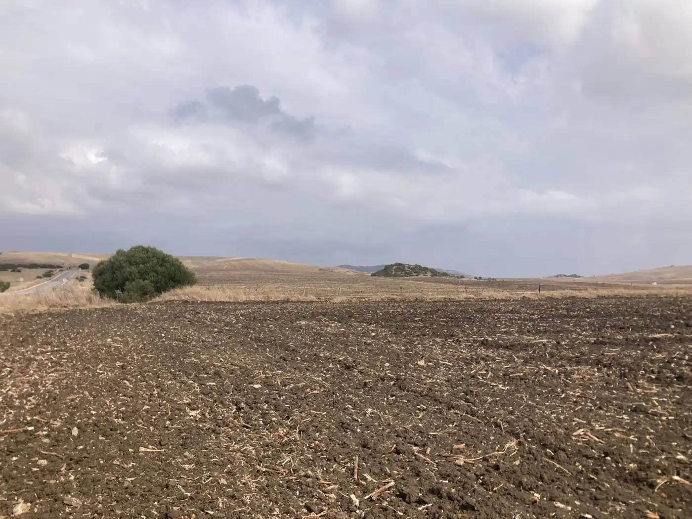 Terreni e lotti in vendita a Carretera vejer- el palmar, imagen 2