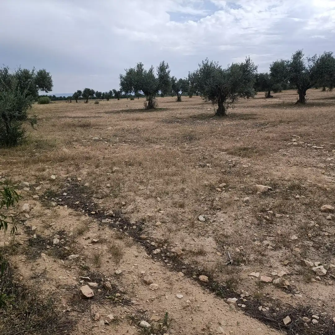 Terreno rustico in vendita a Chueca, imagen 4