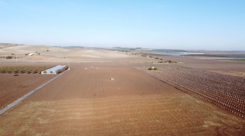 Finca Rúst. en venta en Crta. Las Cabezas., immagine 2