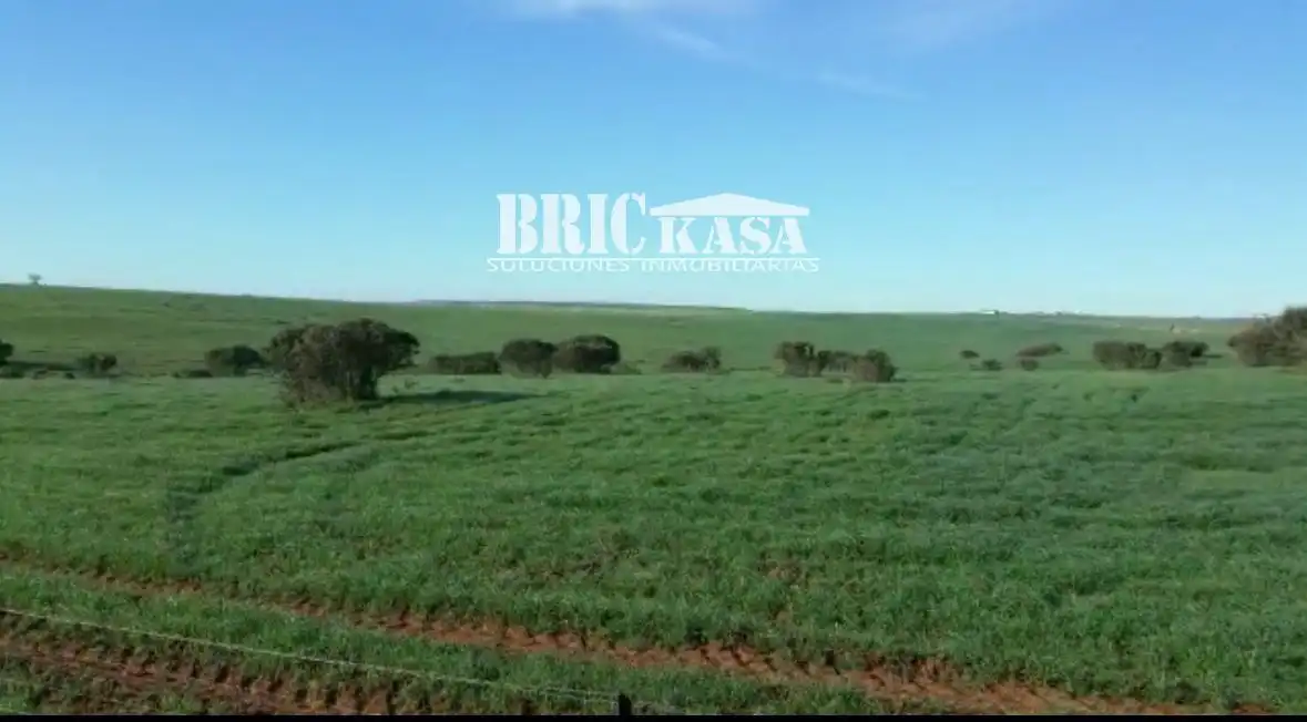 Terreno rustico in vendita a Villafranca de los Barros, imagen 3