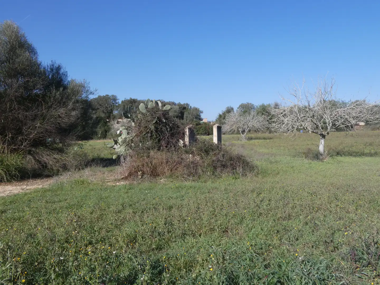 Residential land for sale in Sineu