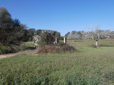 Wohnbaugrundstück zum Verkauf in Sineu