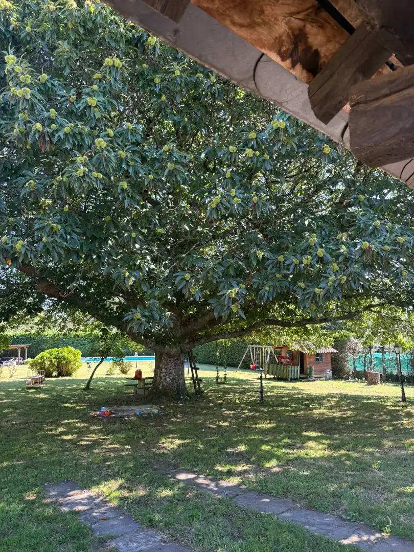 Jardí de Casa o xalet en venda en Outeiro de Rei amb Calefacció, Jardí privat i Piscina