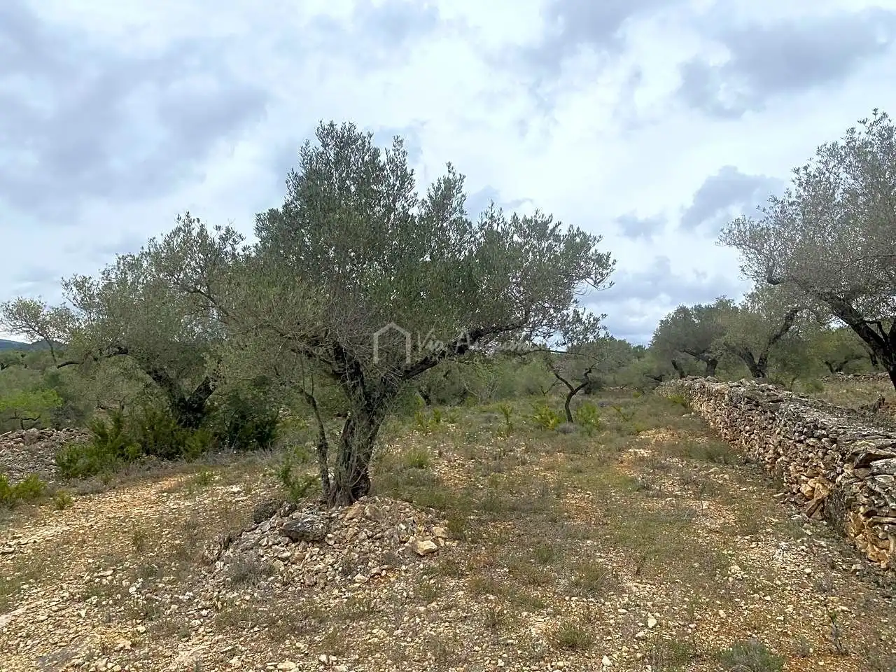 Terreno rustico in vendita a Burga, imagen 7