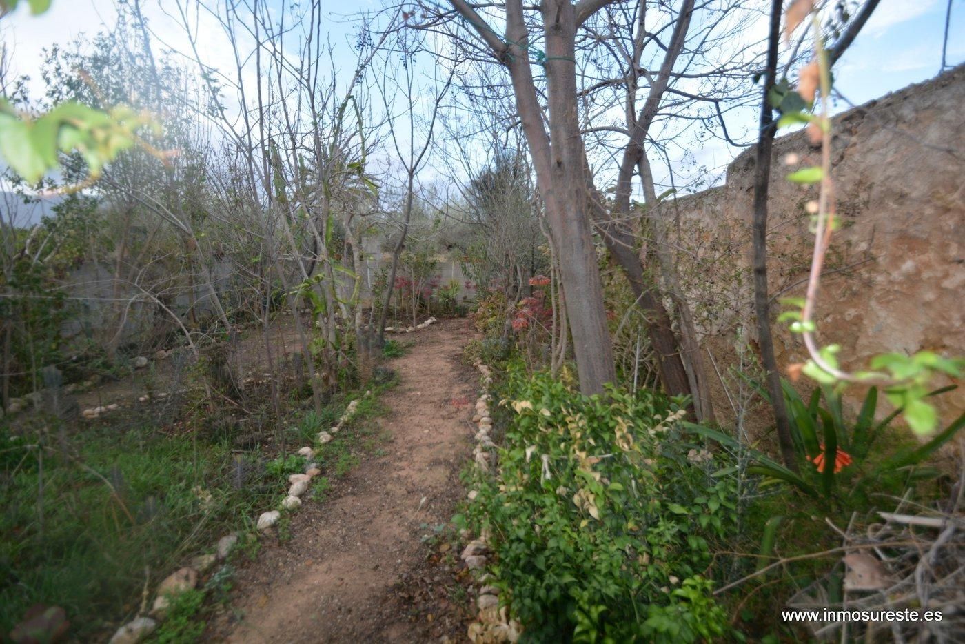 Casa o xalet en venda en Orihuela