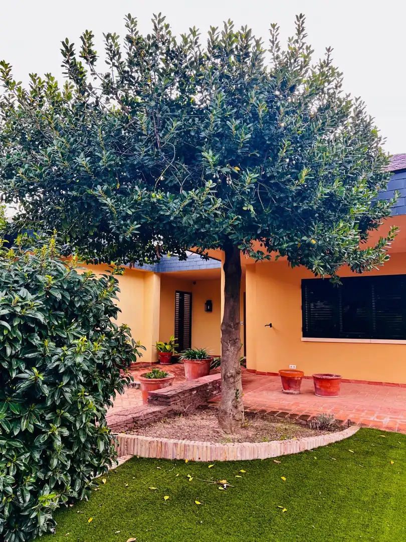 Vista exterior de Casa o chalet en venta en Ibi con Calefacción, Jardín privado y Trastero