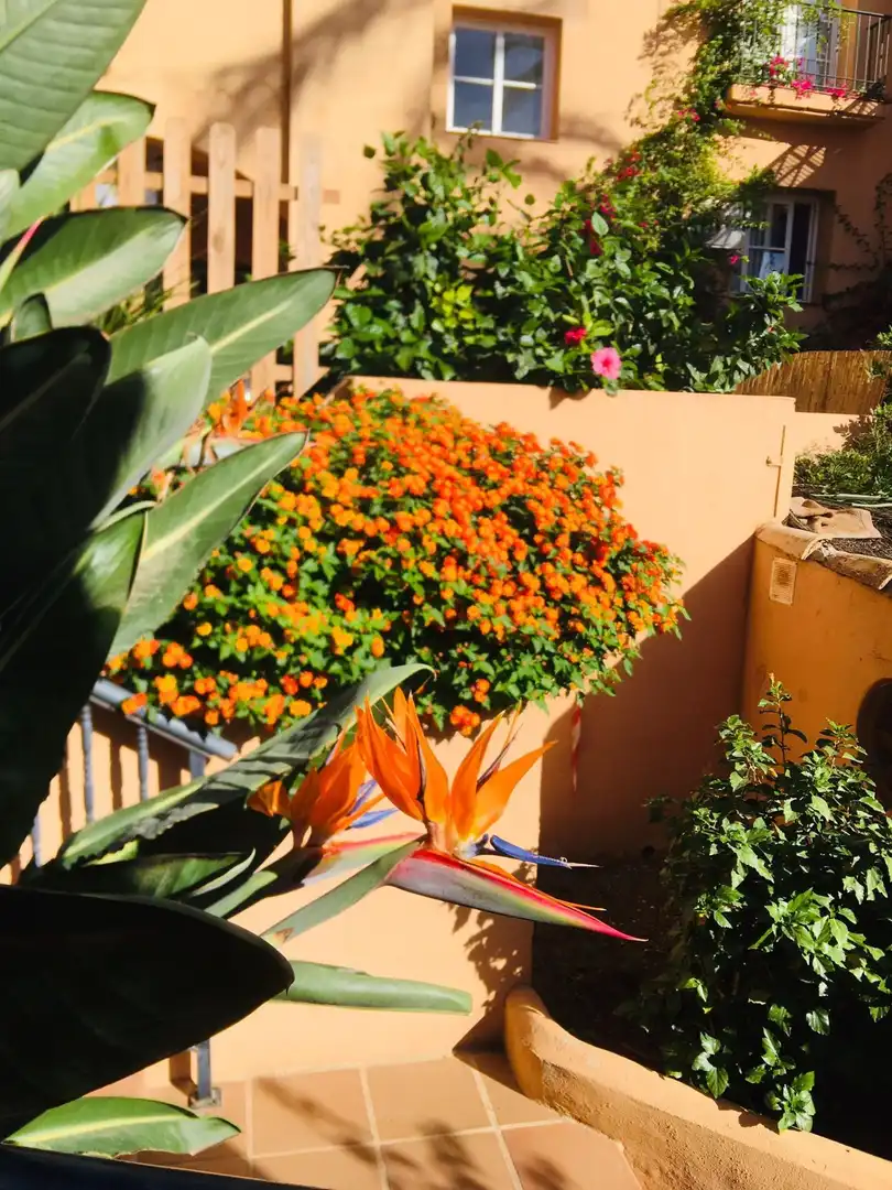 Apartament en venda a Riviera del Sol