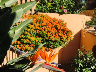 Apartment with pool for sale in Riviera del Sol