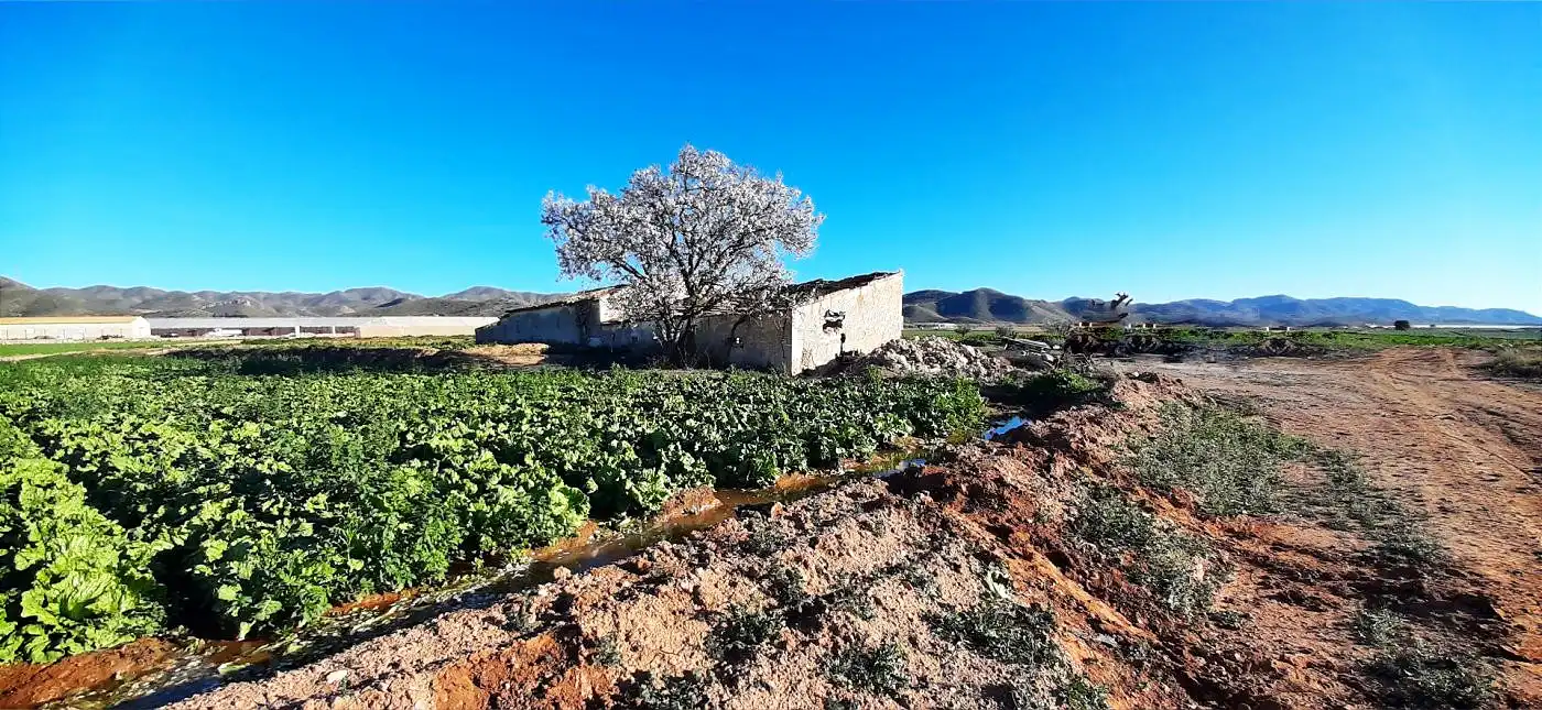 Terrain résidentiel à vendre à Pedanías Sur, imagen 3