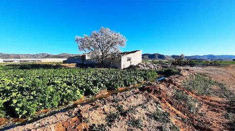 Foto 3 de Residencial en venta en Escucha, Lorca