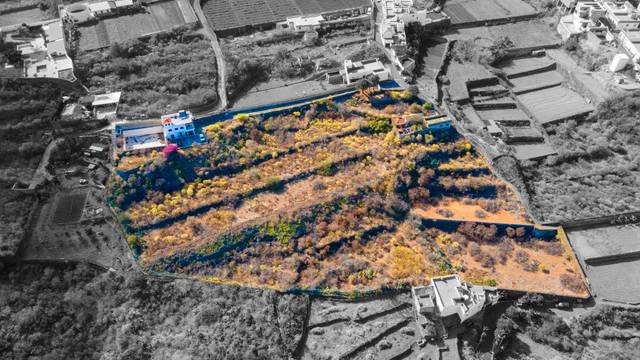 Finca rústica en Venta en Camino los Canarios, 21 en Buen Paso - La Mancha