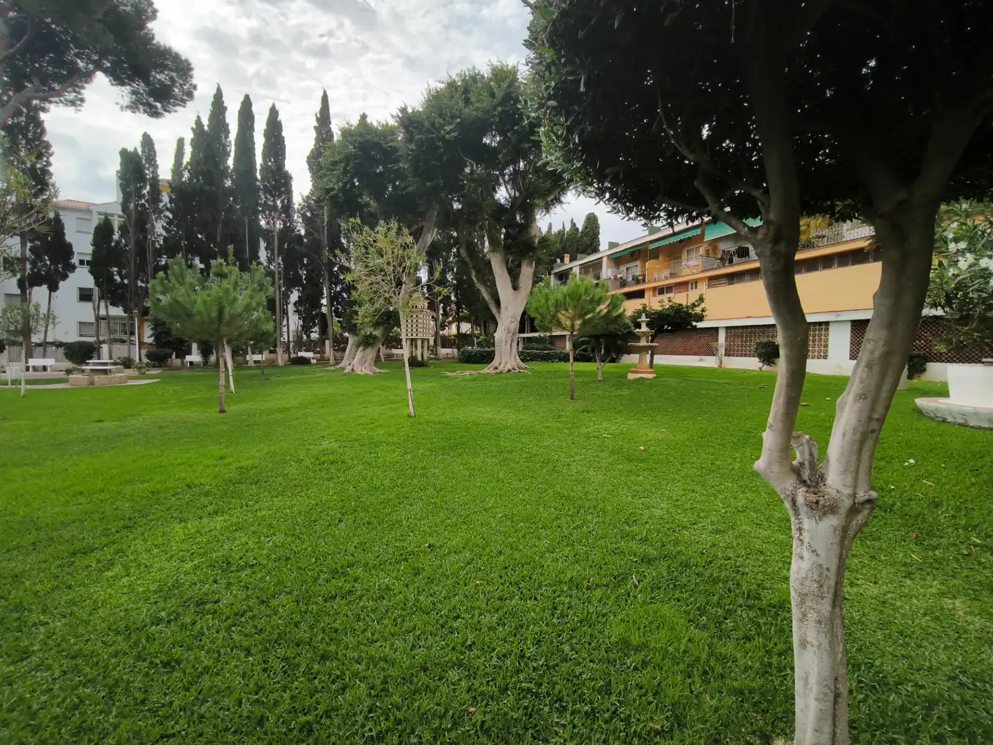 Apartament amb piscina en venda a Calle Decano José Gómez Rando 2, imagen 43