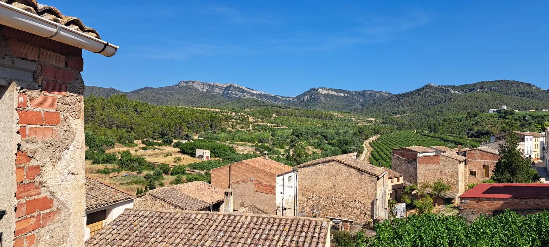 Vista exterior de Casa o chalet en venta en Tivissa con Terraza, Amueblado y Balcón