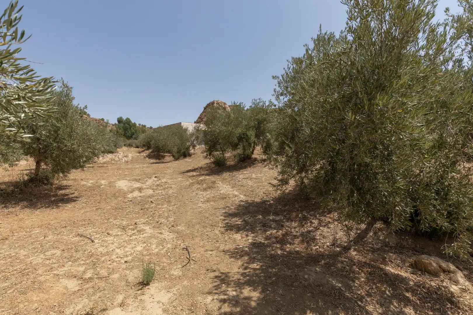 Terreni e lotti in vendita a Guadix, imagen 11