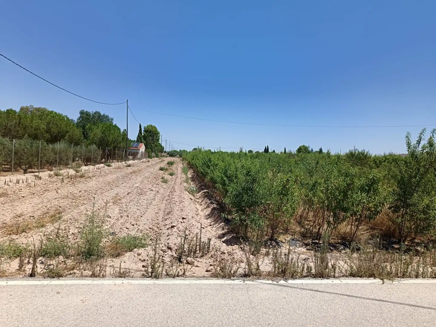 Grundstücke und Bauplätze zum Verkauf in Piñero, imagen 2