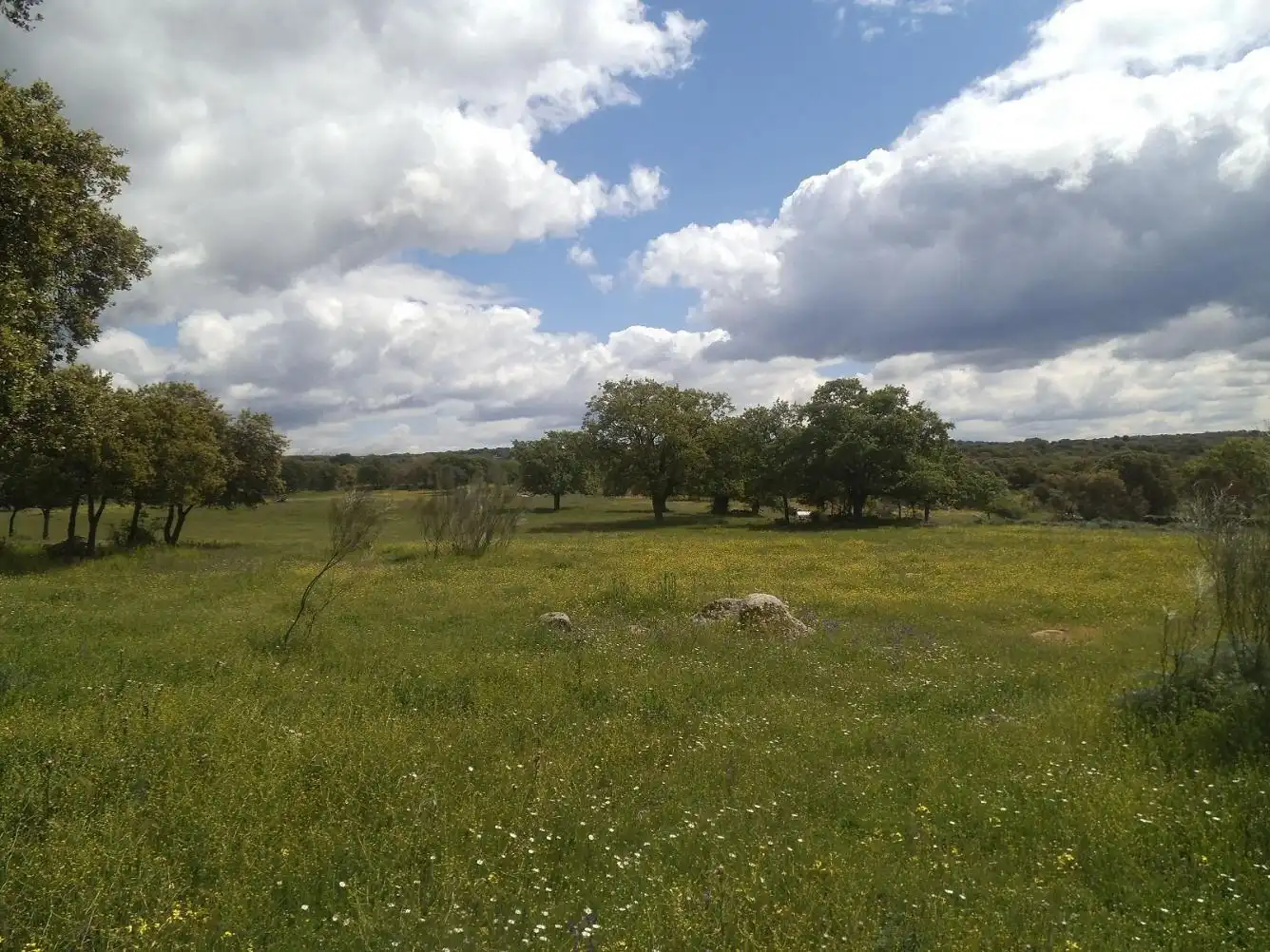 Residencial en venda en Valdemorillo