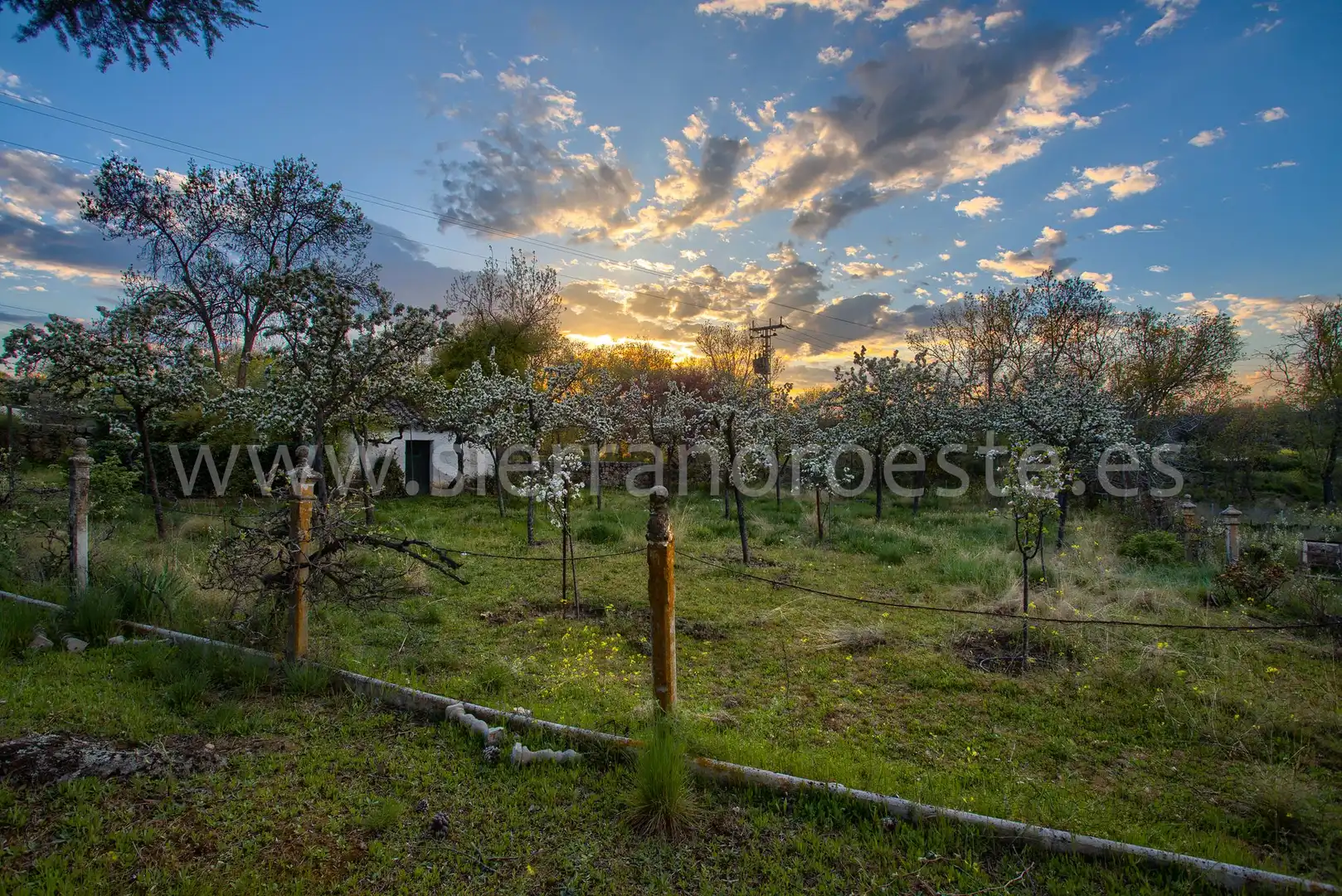 Casa o chalet en venta en Puerto de Galapagar - Las Cuestas