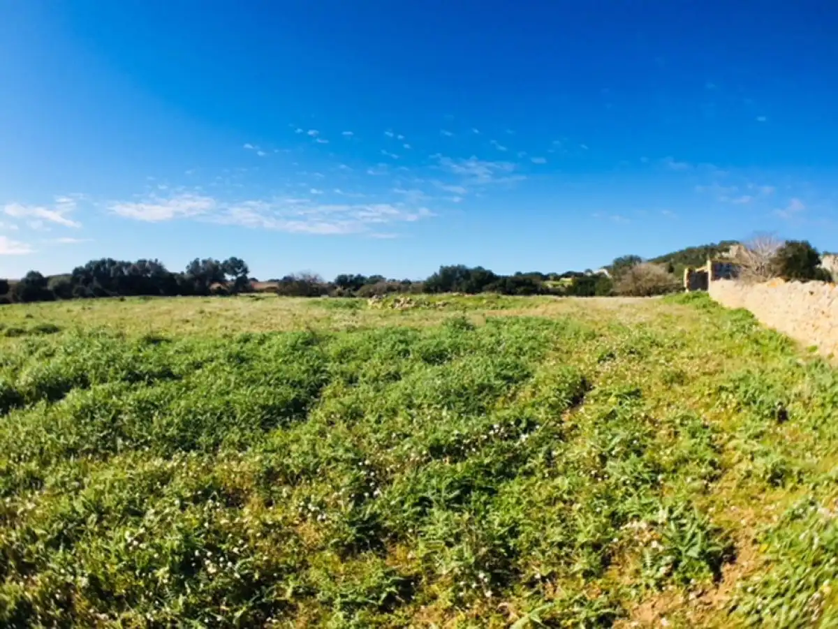 House for sale in Son Bou - Sant Jaume, imagen 4