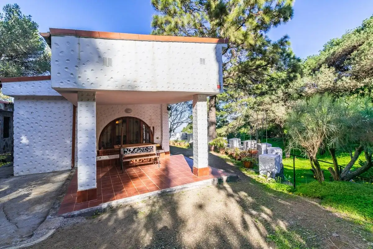 Jardí de Casa o xalet en venda en Telde amb Jardí privat