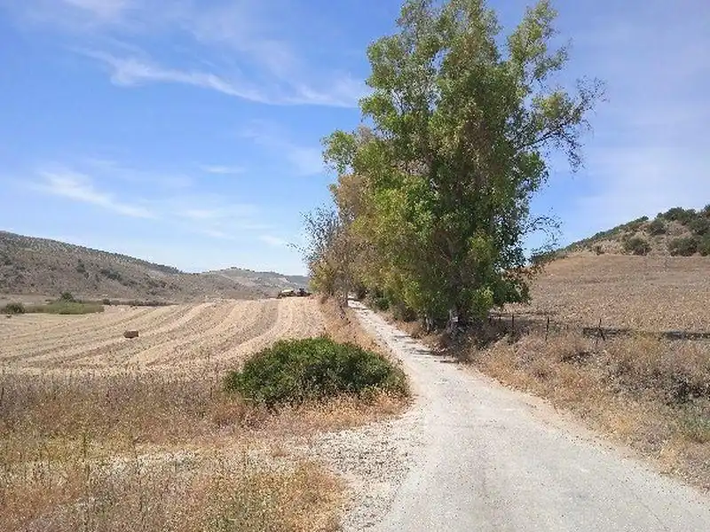 Casa rústica en venda a Morón de la Frontera, imagen 6