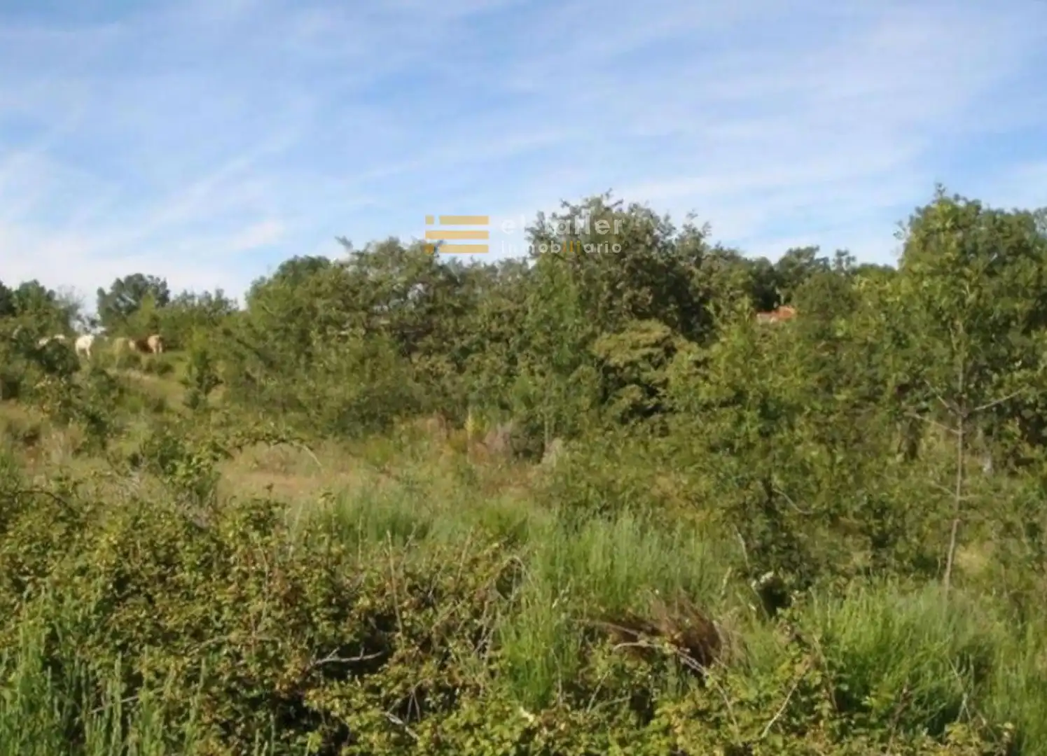 Terrains et parcelles à vendre à El Rincón de la Condesa, imagen 3