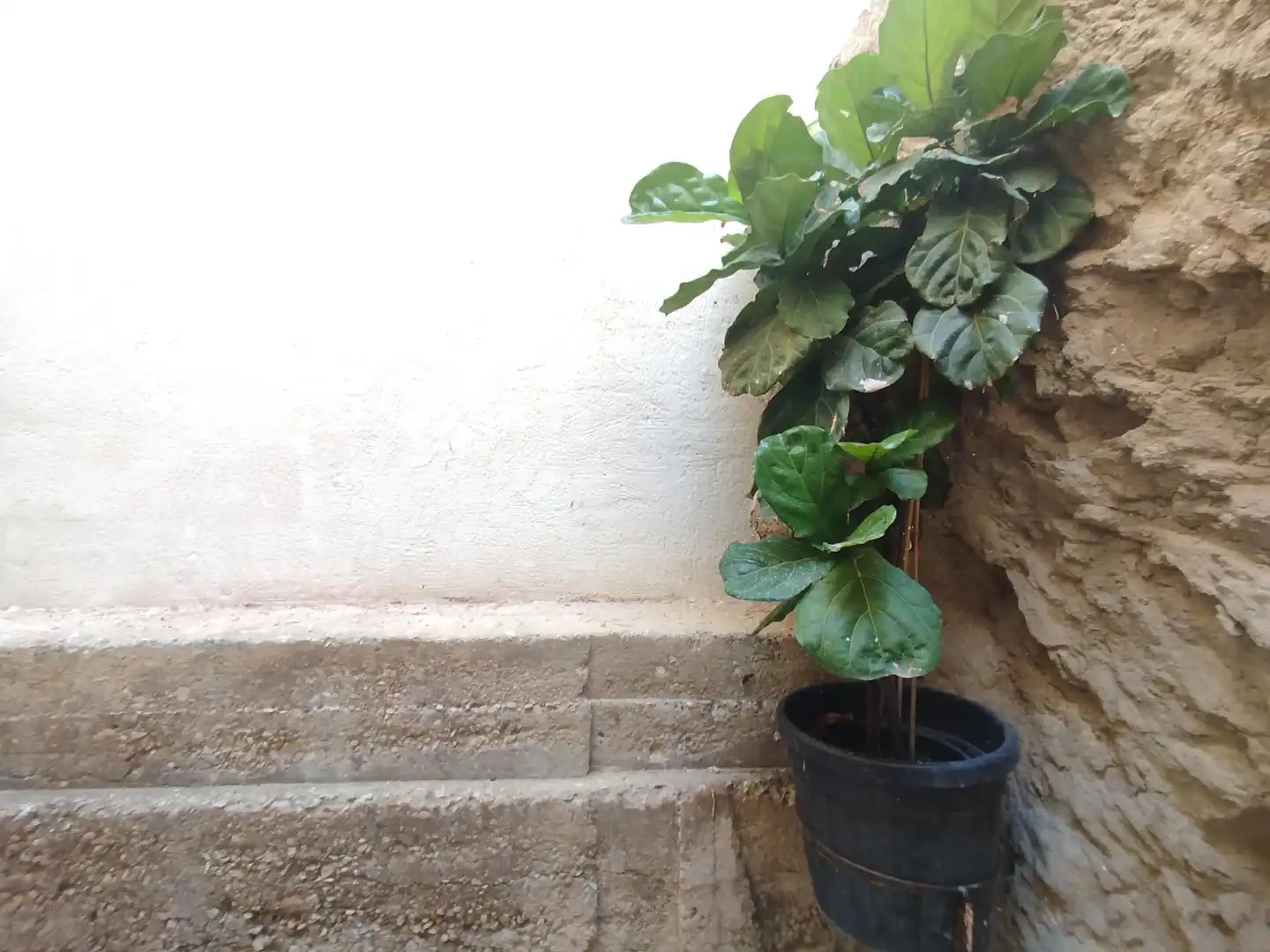 House for sale in Jijona / Xixona, imagen 12
