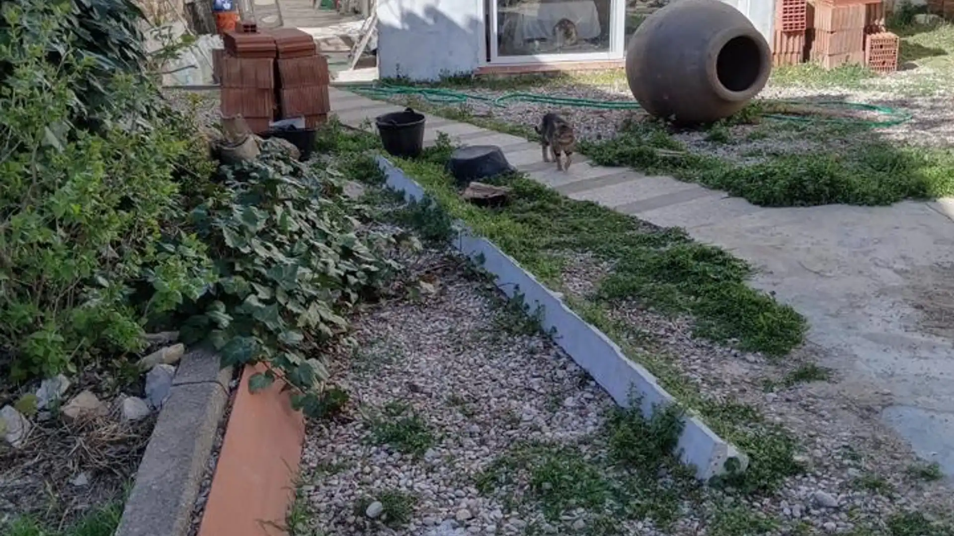 Jardín de Casa o chalet en venta en Rozalén del Monte