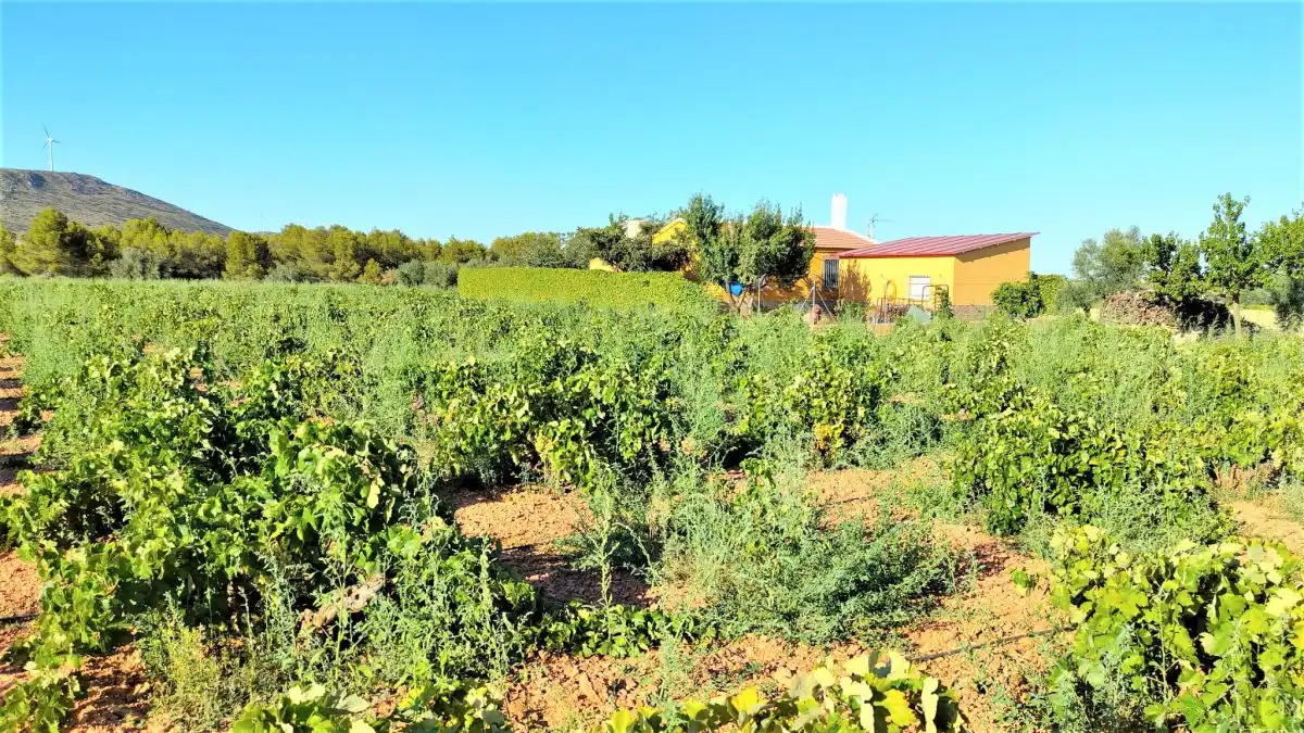 Casa rústica en venda a San Carlos del Valle (Carril de las Chozas) km 3, imagen 26