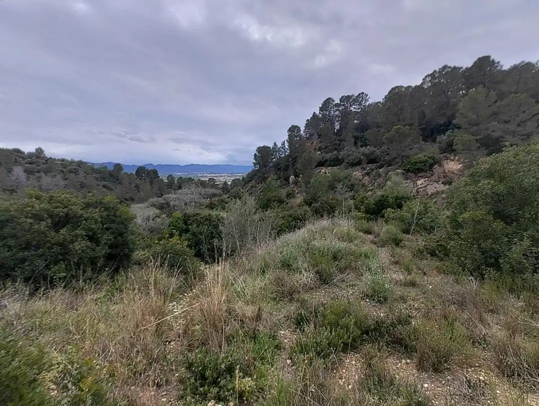 Terreno residencial en venta en Cantalars, Pol.9, Parc. 123(A,B,C Y D) Y Parcela 233. Barranco De Montell, imagen 4