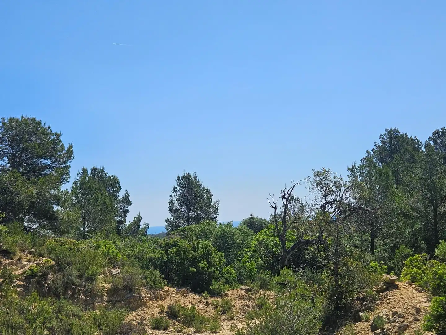Grundstücke zum Verkauf in L'Ametlla de Mar 