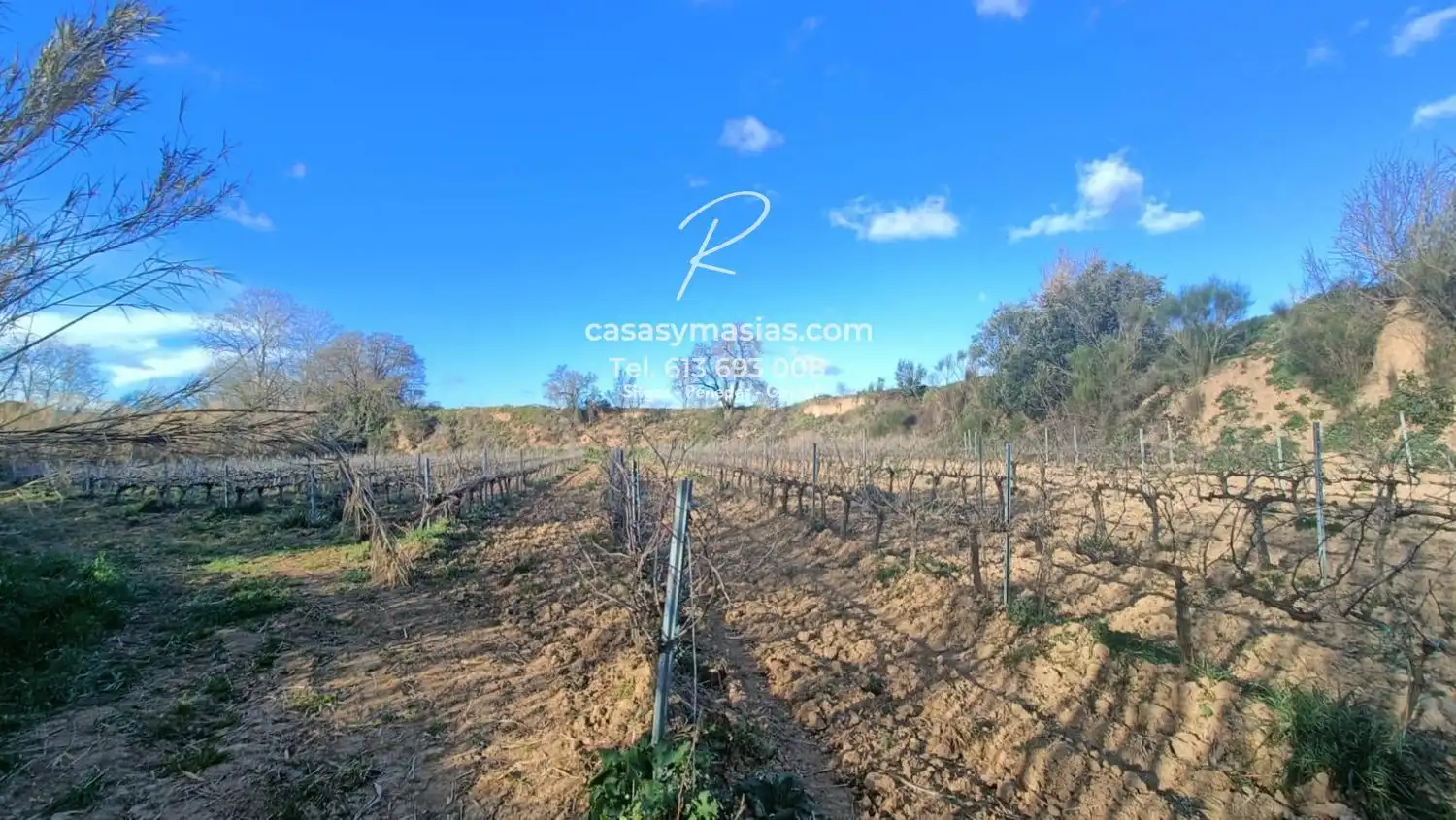 Nave industrial en venta en Vilobí del Penedès