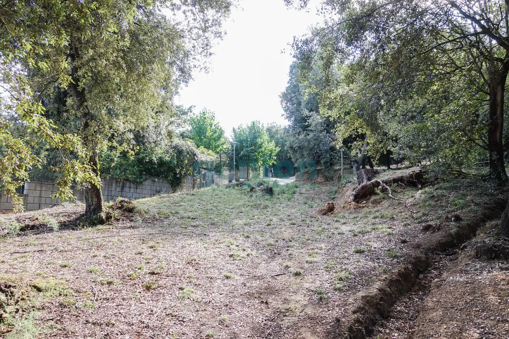 Terreno residenziale in vendita a Diseminado Afueras, imagen 11