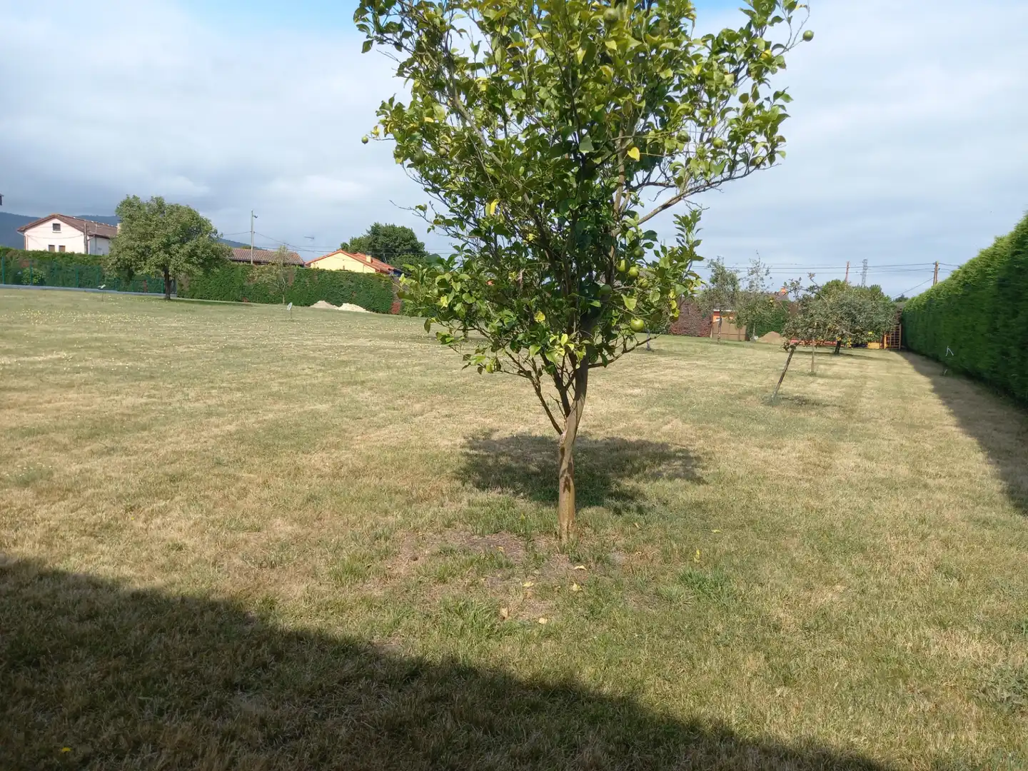 Land for sale in Muros de Nalón