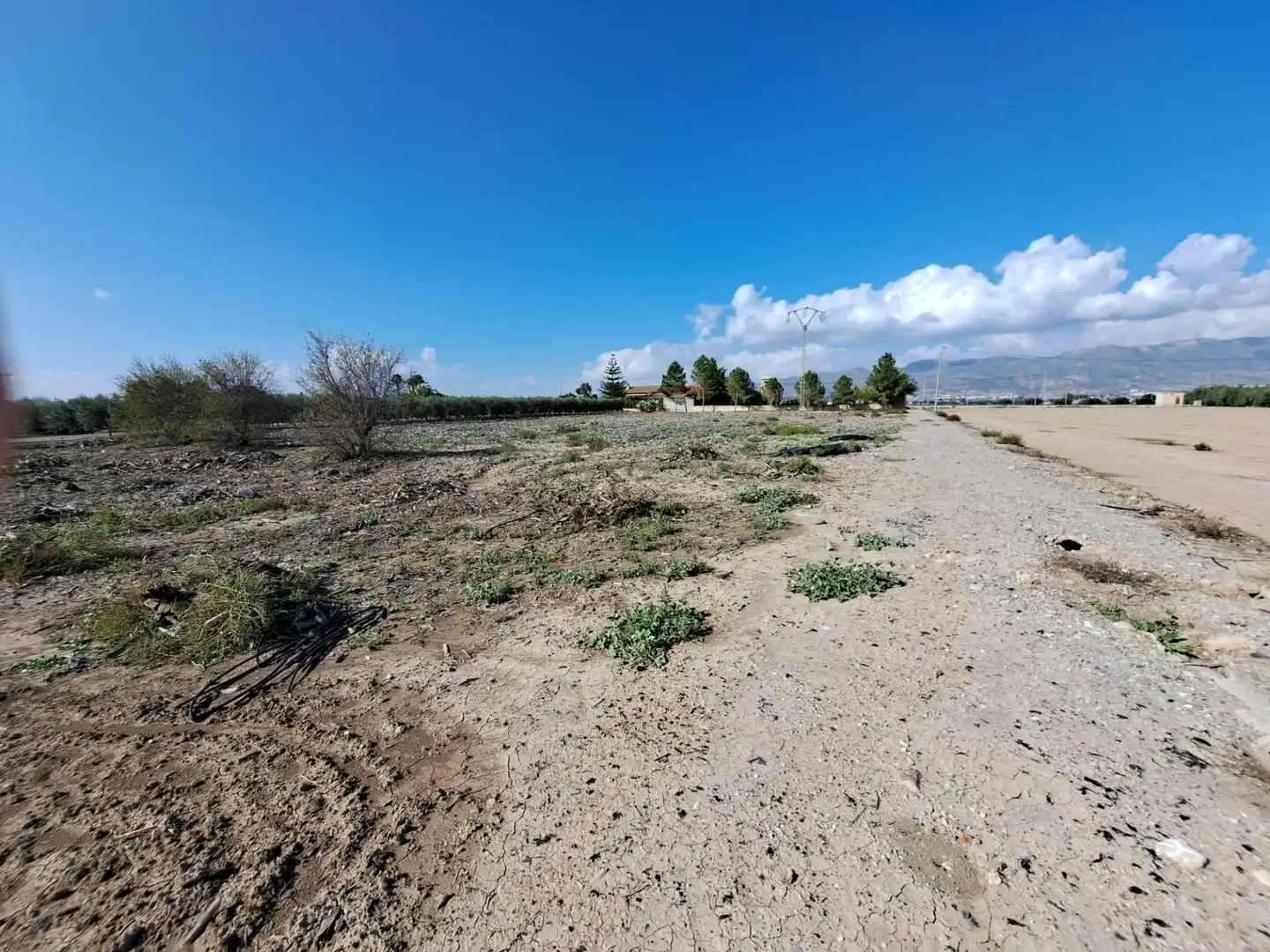 Casa o chalet en venta en Marchena