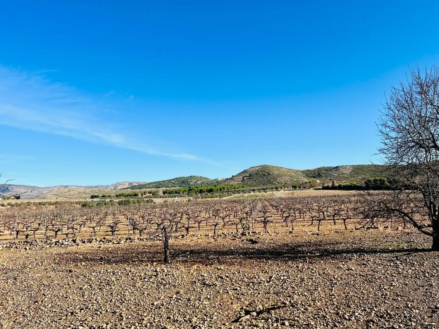 Terreny residencial en venda a Cañada, imagen 8