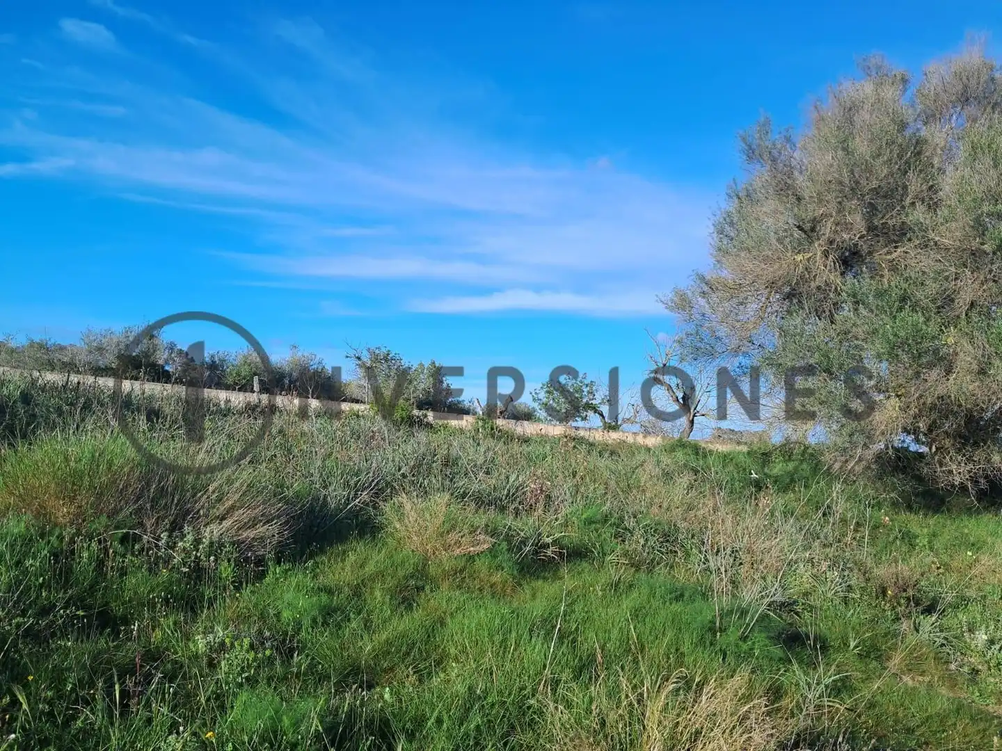 Terreny residencial en venda a Son Ballfogó, imagen 19