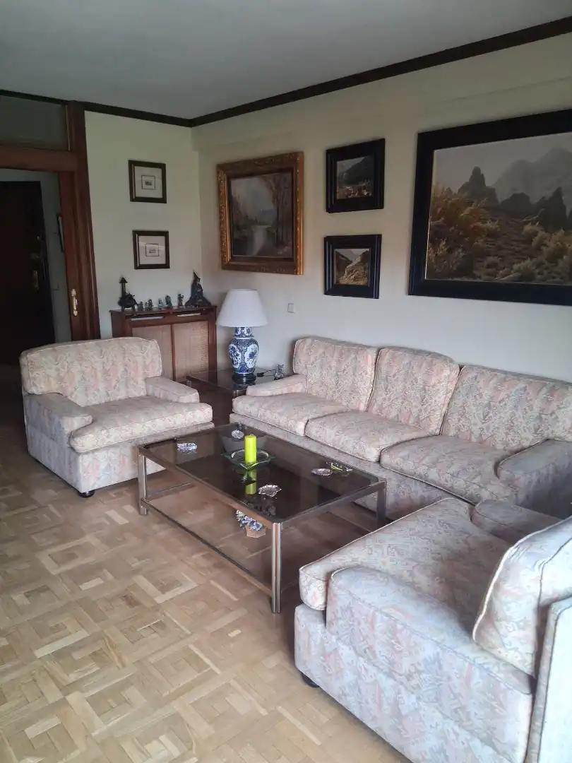 Wohnzimmer von Wohnung zum Verkauf in Madrid mit Heizung, Parkett und Ofen