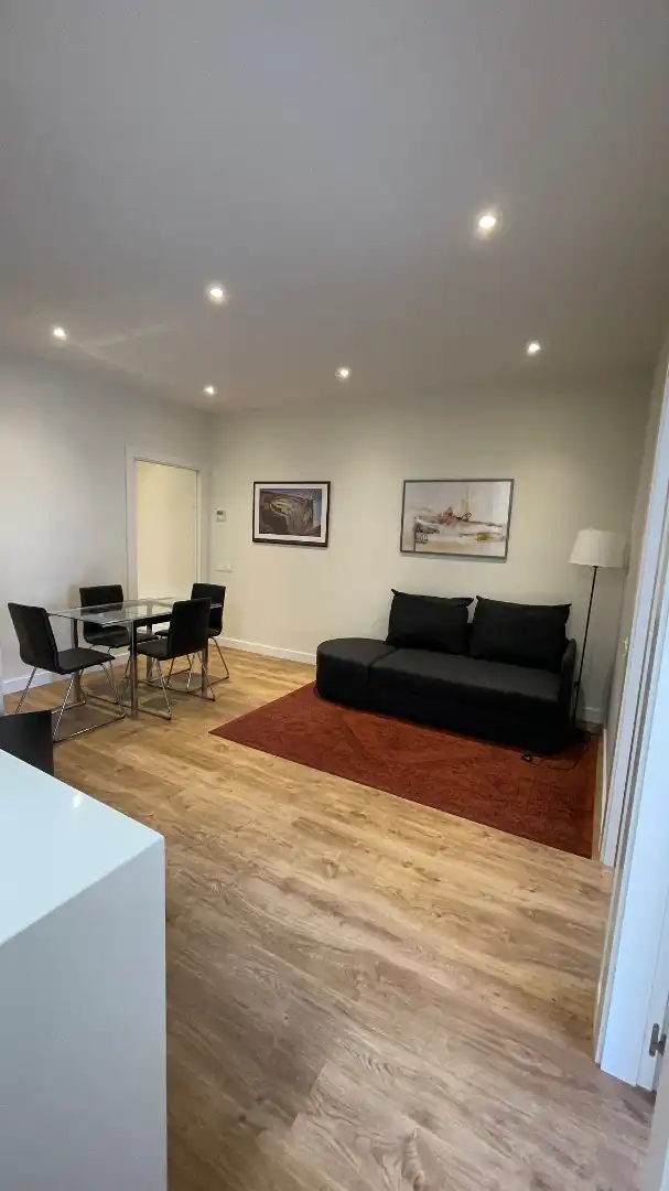 Sala d'estar de Pis de lloguer en Barcelona amb Aire condicionat, Parquet i Moblat