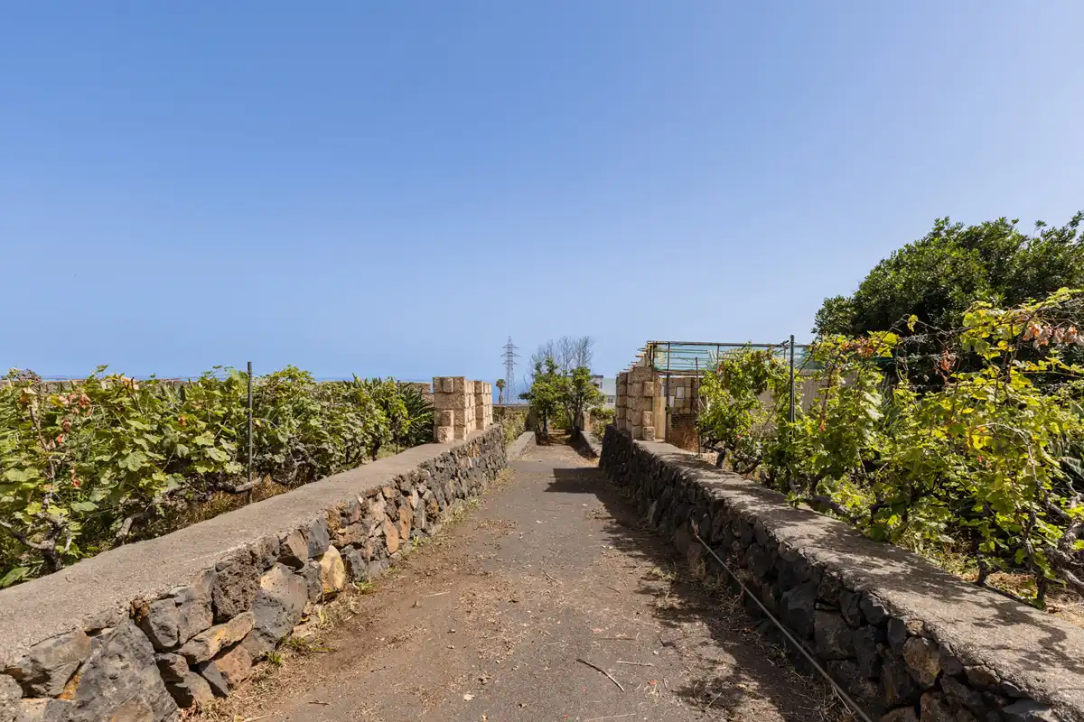 Exterior view of Country homes for sale in San Cristóbal de la Laguna  with Private garden, Terrace and Balcony