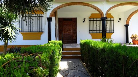 Foto 5 de Casa o chalet en venta en Centro - Torre de la Higuera, Almonte