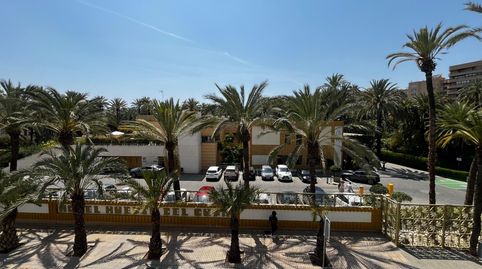Photo 4 of Flat for rent in Centro, Elche / Elx