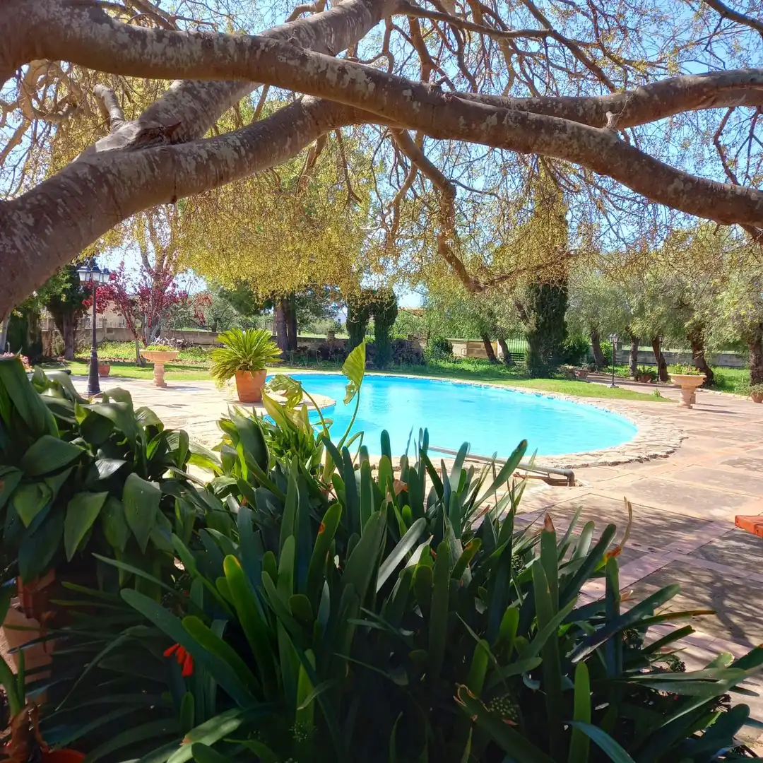 Casa o xalet en venda a Son Sardina