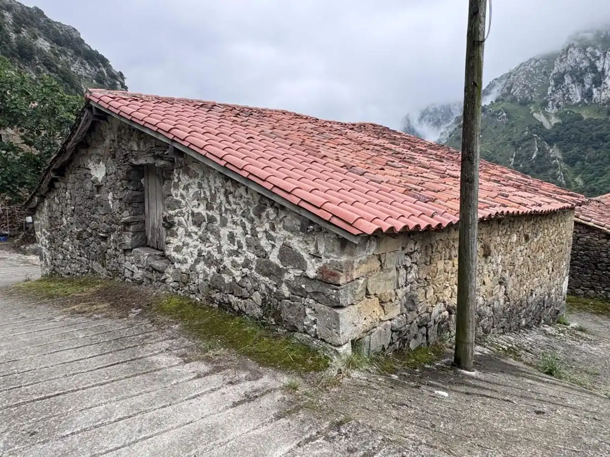 House for sale in Peñamellera Alta, imagen 36