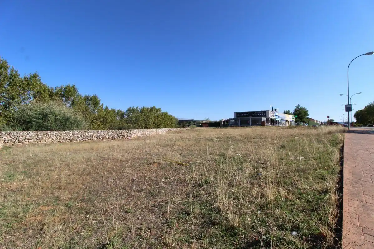 Terreny rústic en venda a Cabanillas del Campo, imagen 3